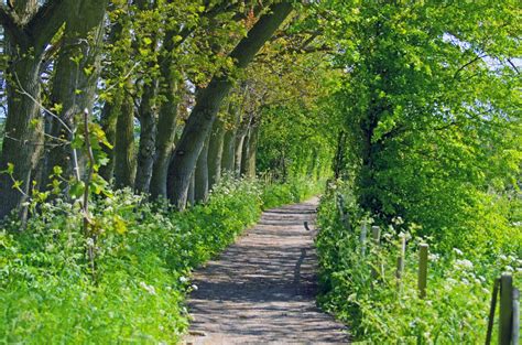 景区服务与管理