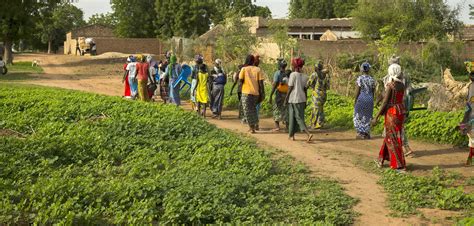 农村经济综合管理