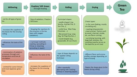 茶叶生产与加工