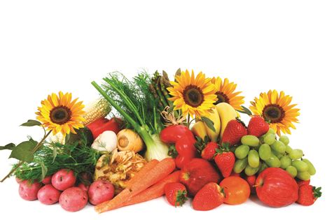 果蔬花卉生产技术