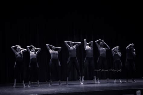 社会文化艺术(声乐、器乐、舞蹈、美术)