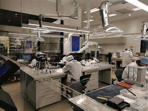 文物修复与保护