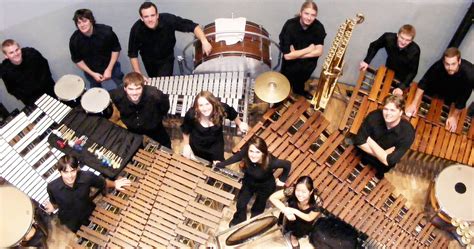 音乐表演(管弦打击乐器演奏方向)