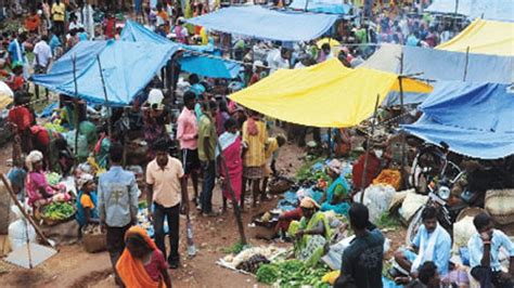 农村经济综合管理（（电子商务方向）方向）