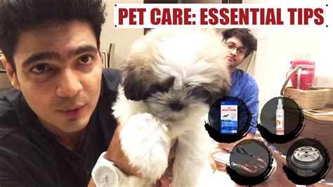 宠物养护与训导