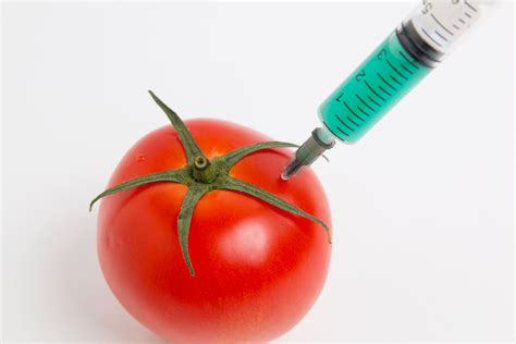 食品生物工艺