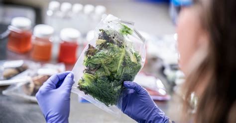 食品质量与安全专业