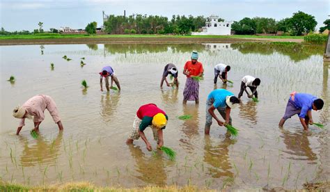 农村经济综合管理