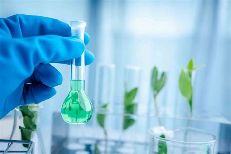 医学生物技术( 中法合作办学)