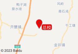 总校