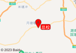 总校