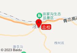 总校