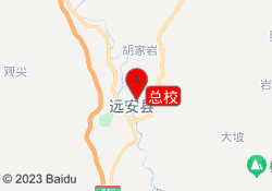 总校