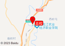总校