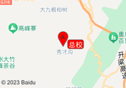 总校