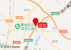 总校