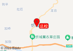 总校