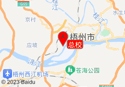 总校