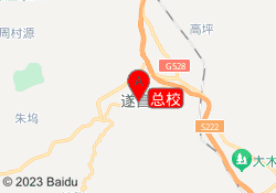 总校