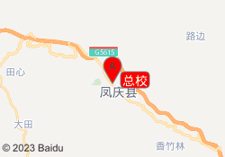 总校