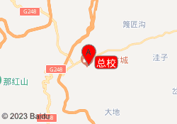 总校