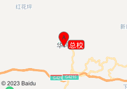 总校