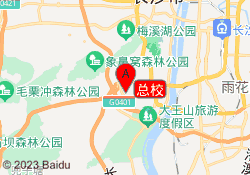 总校
