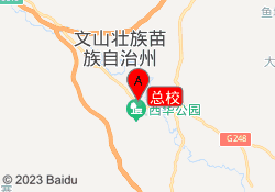 总校