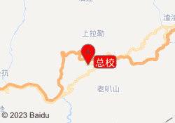 总校