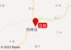 总校