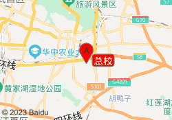 总校