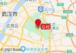 总校