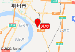 总校