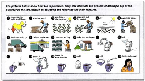 茶叶生产加工技术专业
