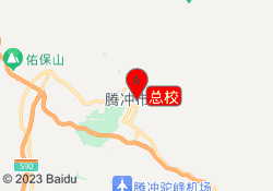 总校