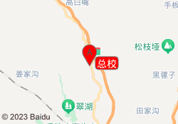 总校