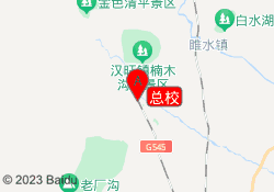 总校