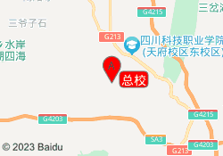 总校