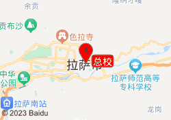 总校