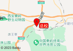 总校