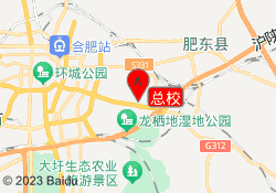 总校