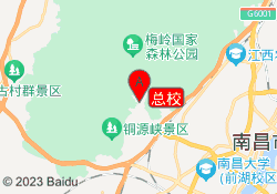 总校