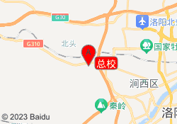 总校