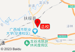 总校