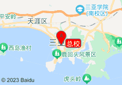 总校
