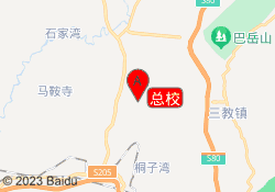 总校