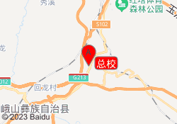 总校