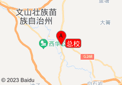 总校