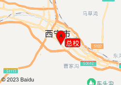 总校
