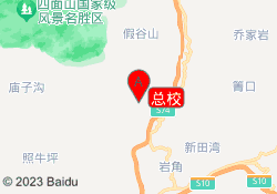 总校
